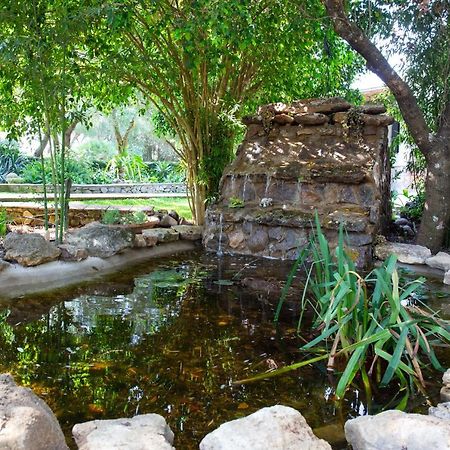 Casa Caramelo Villa Medina-Sidonia Kültér fotó