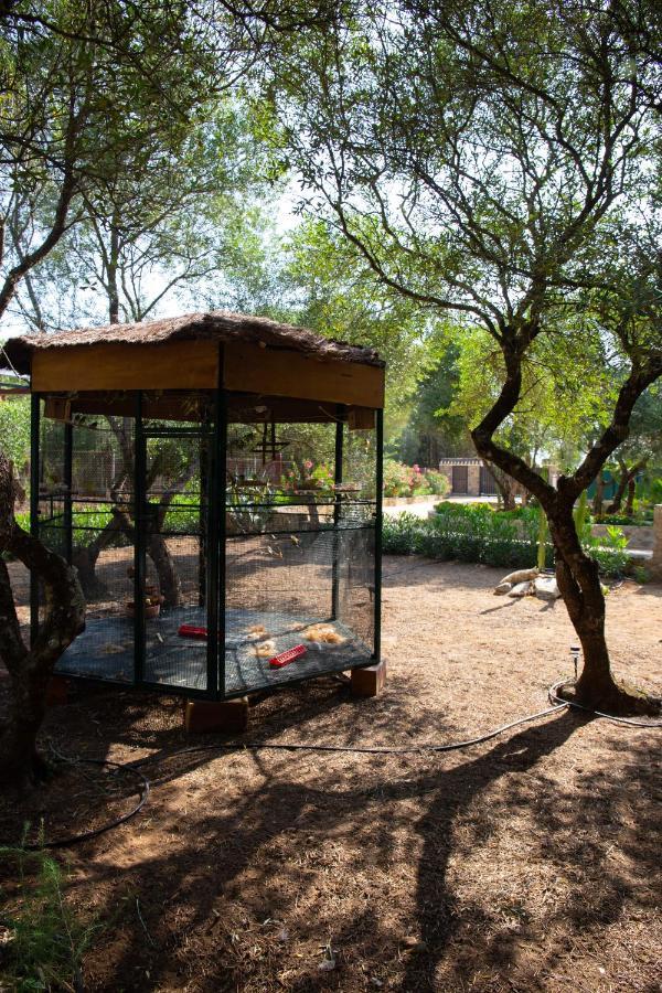 Casa Caramelo Villa Medina-Sidonia Kültér fotó